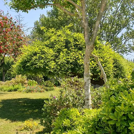 Green Garden House Pensionat Pontevedra